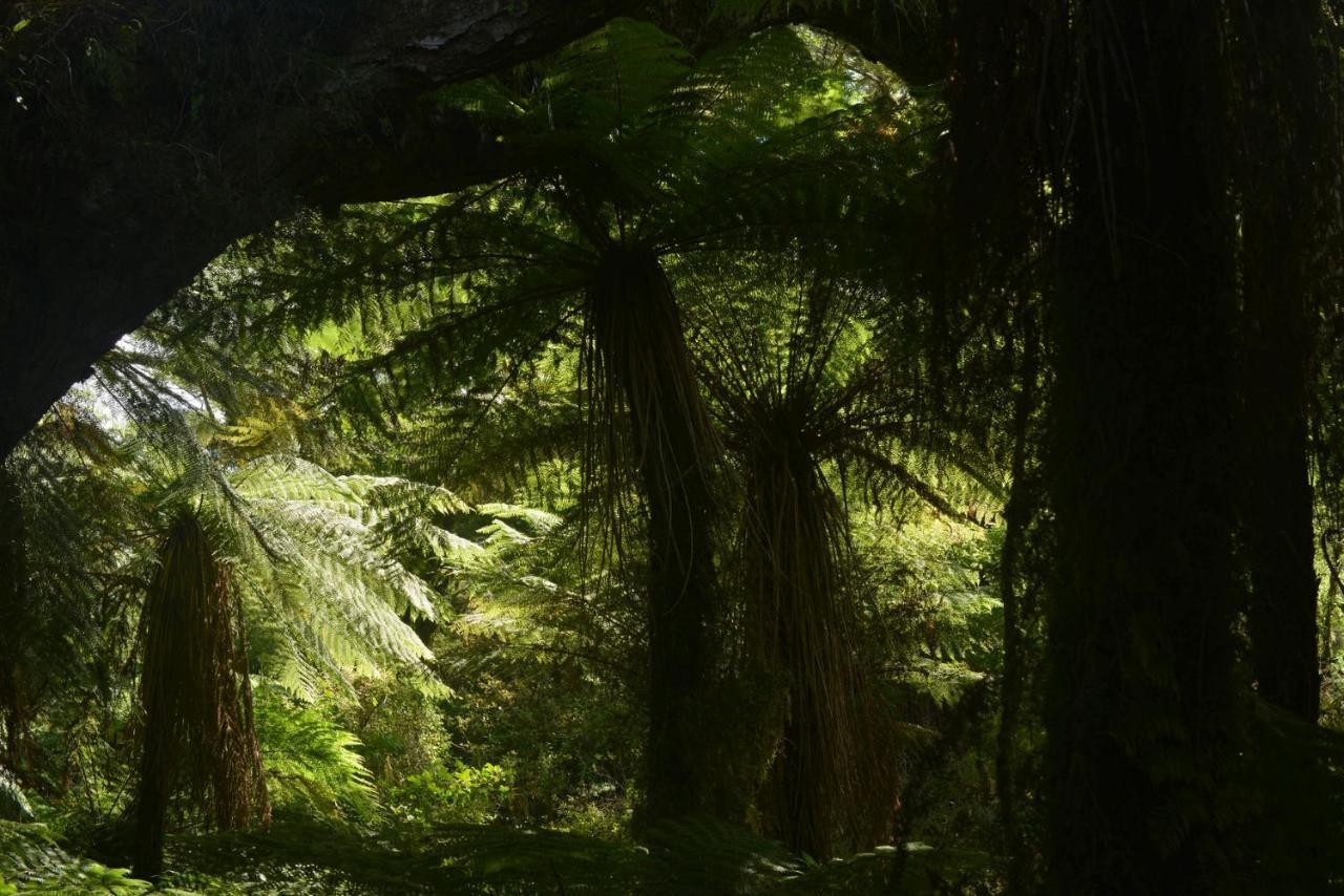 Wilderness Backpackers Hostel Haast Exterior photo