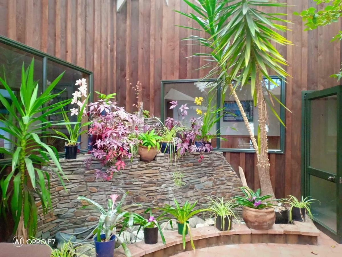 Wilderness Backpackers Hostel Haast Exterior photo